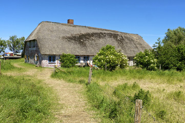 Thatched Houses on the Warft on the Hallig Langeness