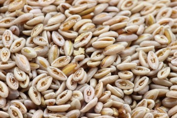 Flohsamen als Hintergrundbild