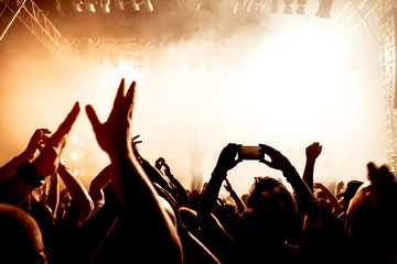 cheering crowd at concert