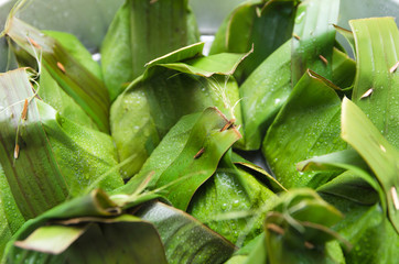 Thai steaming pot of banana leaf cover bake