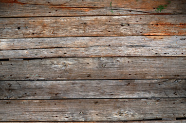 Obraz premium Wood background