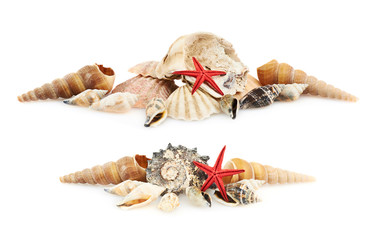 Pile of seashells