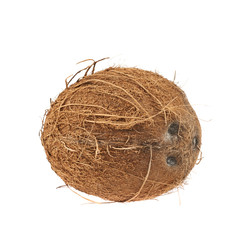 Whole coconut fruit isolated