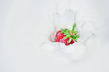 Strawberry falling into splashing milk. Isolated on white.