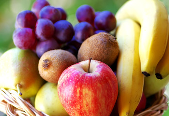 basket with fruits