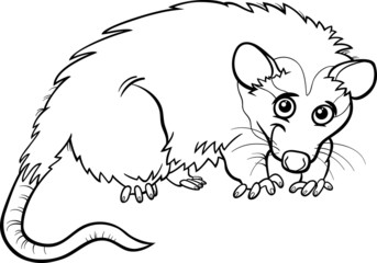 opossum animal cartoon coloring book