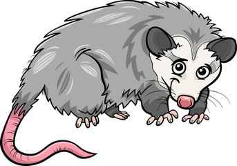 Obraz premium opossum animal cartoon illustration