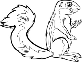 xerus animal cartoon coloring page