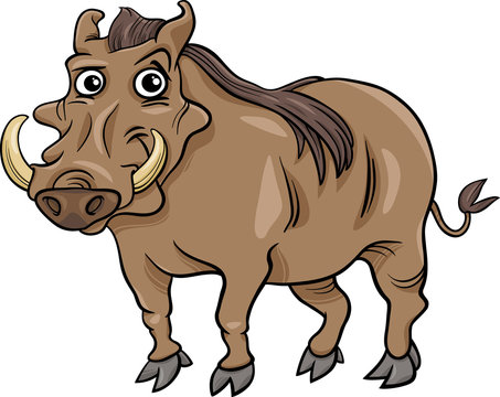 Warthog Animal Cartoon Illustration