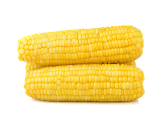 corn isolated on white background