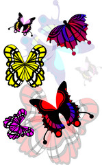 Illustration of the spring