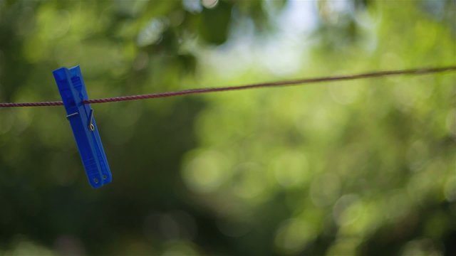 Blue clips/clothspin in a garden