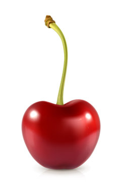 Sweet cherry, vector icon