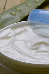 Aloe vera Echte Aloes zwyczajny Алоэ настоящее