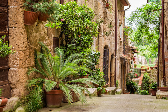 Fototapeta Tuscan Street in the city full of flowery porches