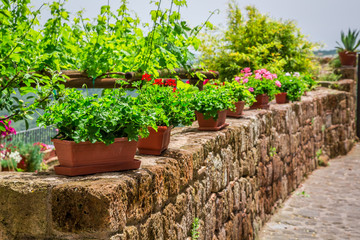 Old stone wall with flowers