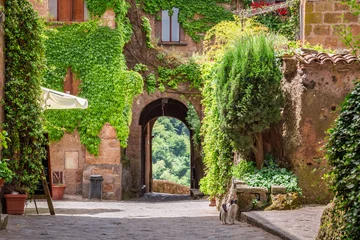 Naadloos Behang Airtex Toscane Ancient city overgrown with ivy in Tuscany