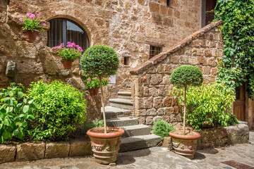 Fototapeta na wymiar Stone entrance to the ancient house full of plants