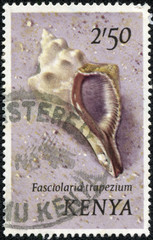 stamp printed in Kenya shows Fasciolaria trapezium