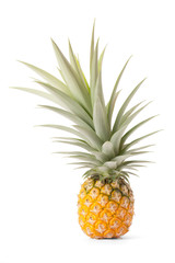 Pineapple tropical fruit or ananas