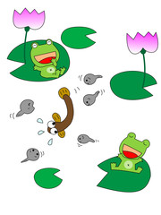 夏の池
