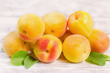 apricots