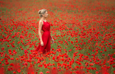 Beautiful and slim woman in red dress and field