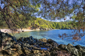 Forest and amazing sea, in Sithonia, Chalkidiki, Greece