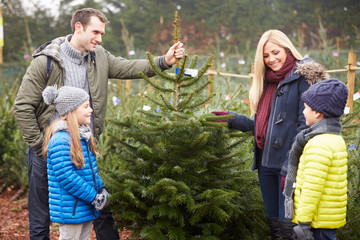 Outdoor Family Choosing Christmas Tree Together © Monkey Business