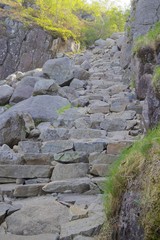 Path to Preikestolen 016