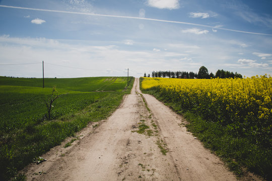 Polna droga Warmia krajobraz