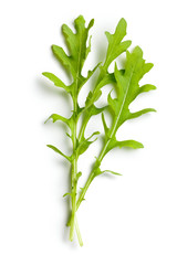 fresh arugula leaves
