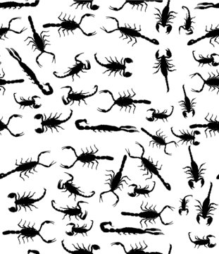 black scorpions seamless background