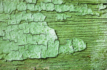 Wooden surface with cracked green paint