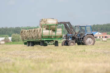 Mechanized harvesting of grass on the flood-plain meadow