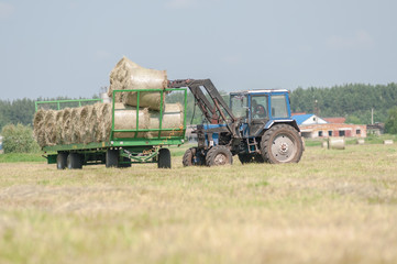 Mechanized harvesting of grass on the flood-plain meadow