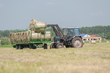 Mechanized harvesting of grass on the flood-plain meadow
