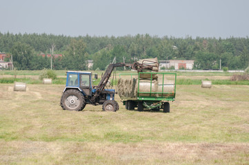 Obraz premium Mechanized harvesting of grass on the flood-plain meadow