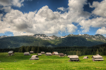 Fototapeta na wymiar sheepherd cottages on Pokljuka Plateau in Slovenia central Europ