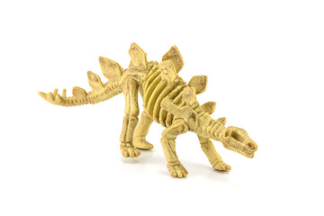 Stegosaurus fossil skeleton toy isolated on white