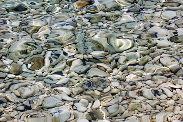 abstract marine background