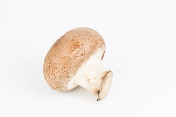 Fresh mushroom.