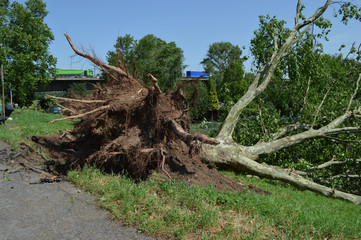 Sturmschaden_Ddorf_12