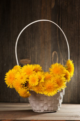 Fototapeta na wymiar Dandelions in a basket on dark wooden background