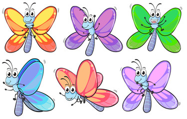 Fototapeta na wymiar A group of colourful butterflies