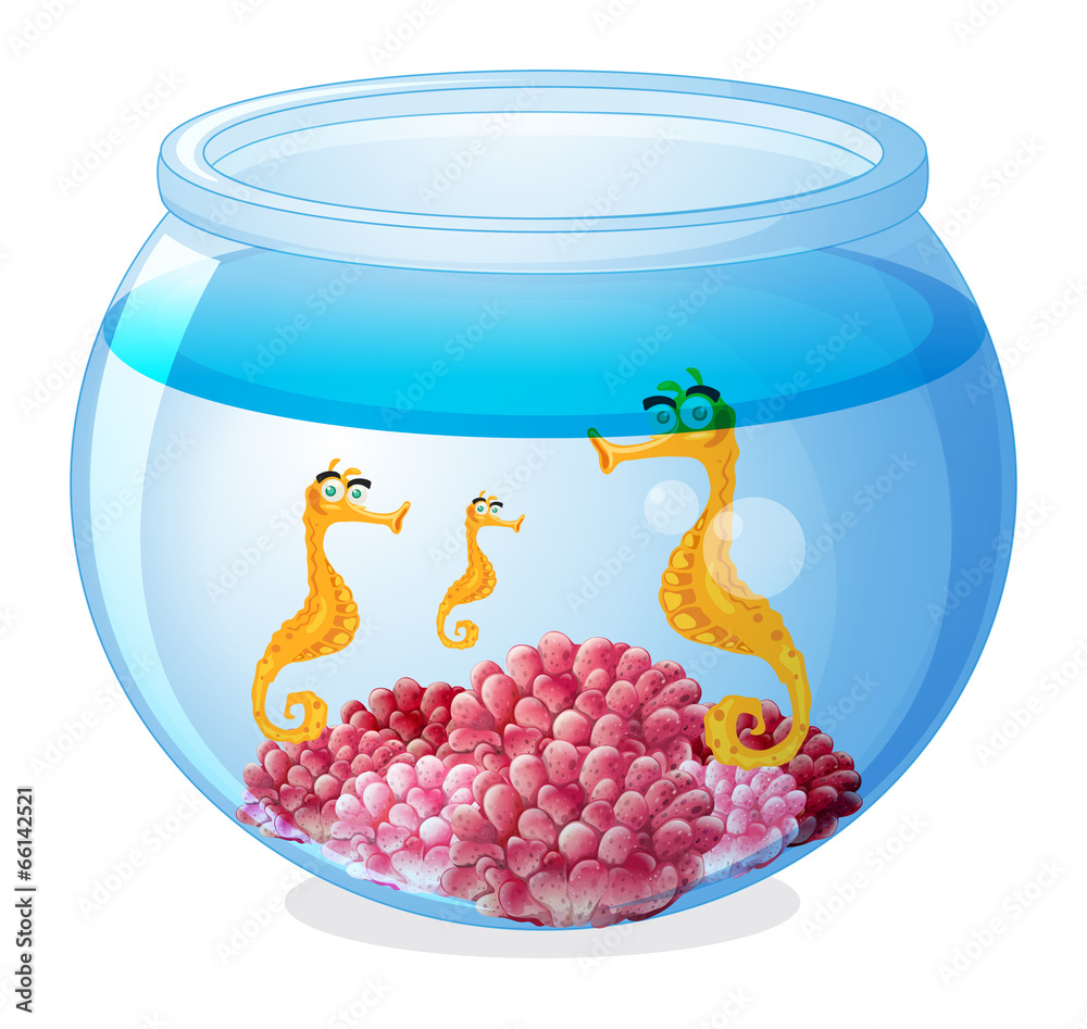 Poster a jar with three seahorses