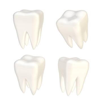 Set of four teeth isolated