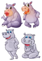 Fotobehang Four hippopotamus © GraphicsRF