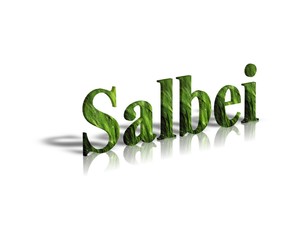 Salbei