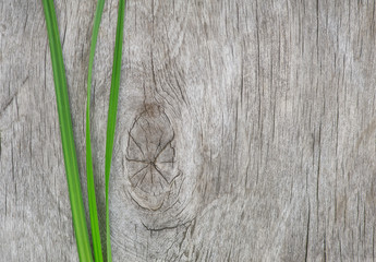 Green grass on the old wood